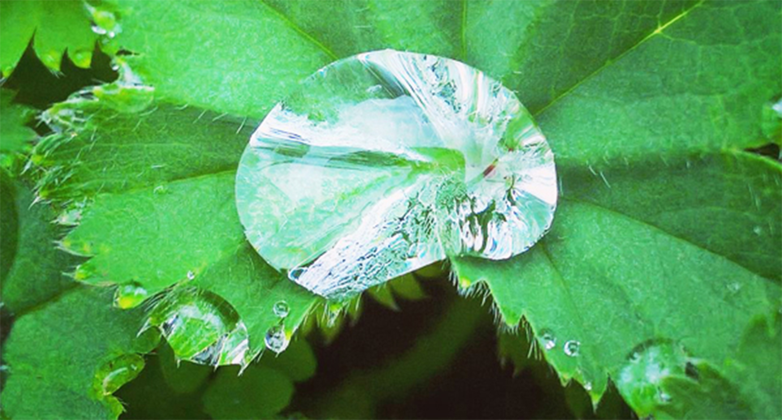 Biomimétisme Territorial – Session 2