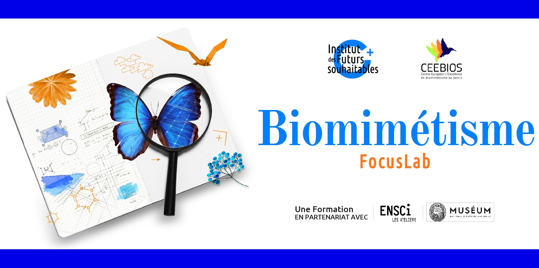 Biomimétisme Territorial – Institut des Futurs Souhaitables et TYL