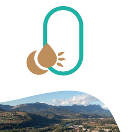 Automne 2021 – Parcours numérique – S’inspirer du vivant pour des territoires résilients