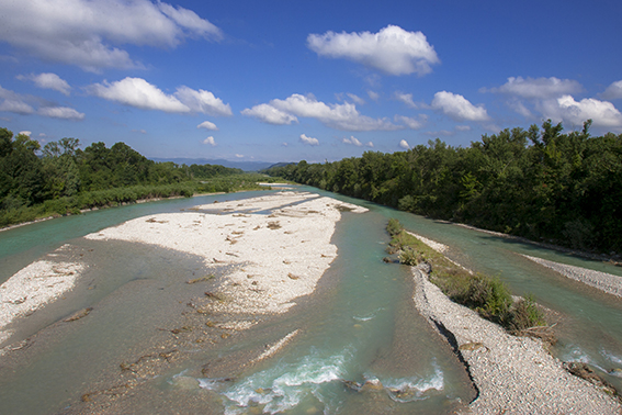 La place pour les non-humains dans la gouvernance des territoires.